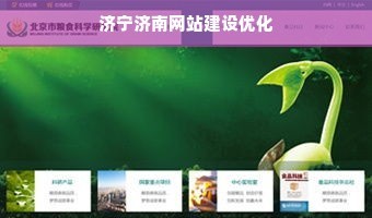 濟寧濟南網(wǎng)站建設優(yōu)化
